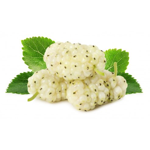 Mulberry White - Ladybird Nursery