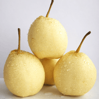 Nashi Pear 'China' - Ladybird Nursery