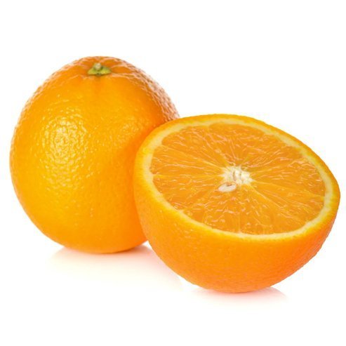 Navelina Orange (QLD Only) - Ladybird Nursery