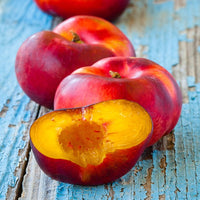 Nectarine Flat Tango's