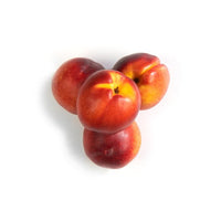 Nectarine Sundowner - Ladybird Nursery