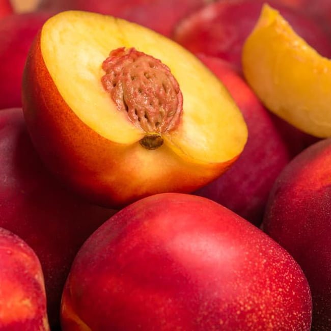 Nectarine Sunraycer - Ladybird Nursery