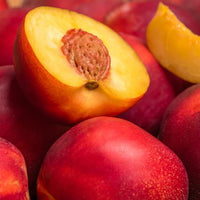 Nectarine Sunraycer - Ladybird Nursery