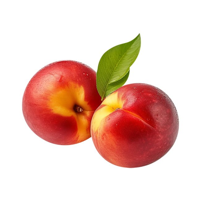 Nectarine Sunwright - Ladybird Nursery