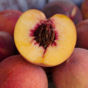 Dwarf Peach 'O'Henry'