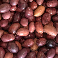 Olive 'Kalamata' Grafted - Medium - Ladybird Nursery