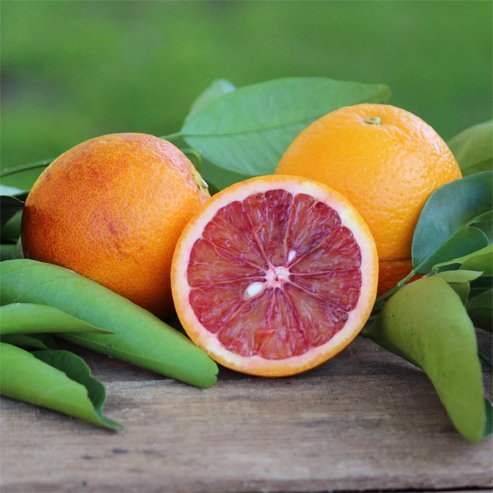 Orange Aussie Sunset Seedless (QLD Only)