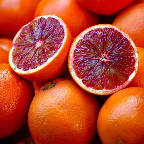 Orange Aussie Sunset Seedless (QLD Only)