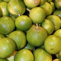 Orange Bergamot (QLD Only)