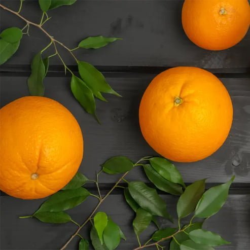 Orange Joppa Sweet (QLD Only) - Ladybird Nursery