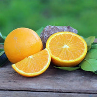 Orange Lanes Late Navel (QLD Only)