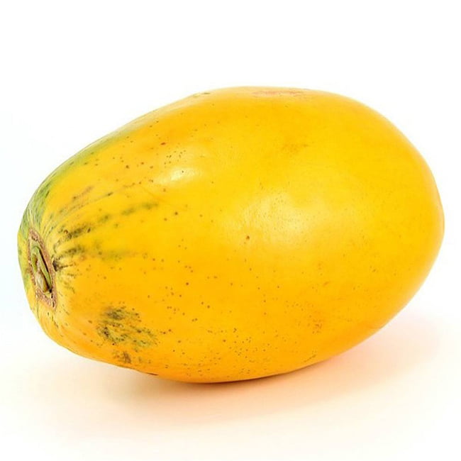 Pawpaw Bisexual 'Yellow' (QLD ONLY)