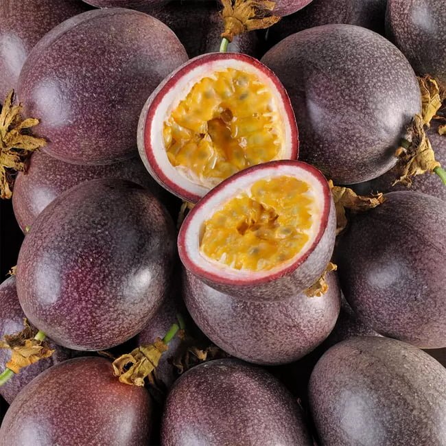 Passionfruit Red Flamenco - Ladybird Nursery