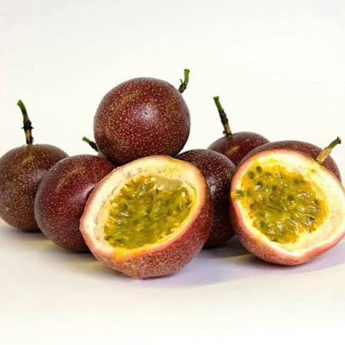 Passionfruit 'Pandora' - Ladybird Nursery