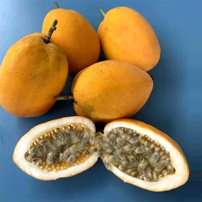 Passionfruit Water Lemon