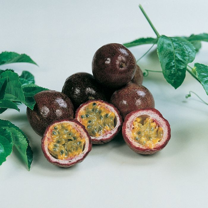 Passionfruit ‘Black’ (Grafted)