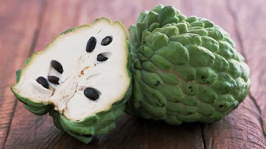 Paxton Prolific Custard Apple