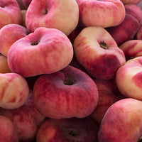 Dwarf Peach Angel Flat