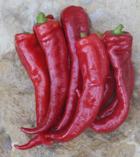 Pepper Long Sweet Red