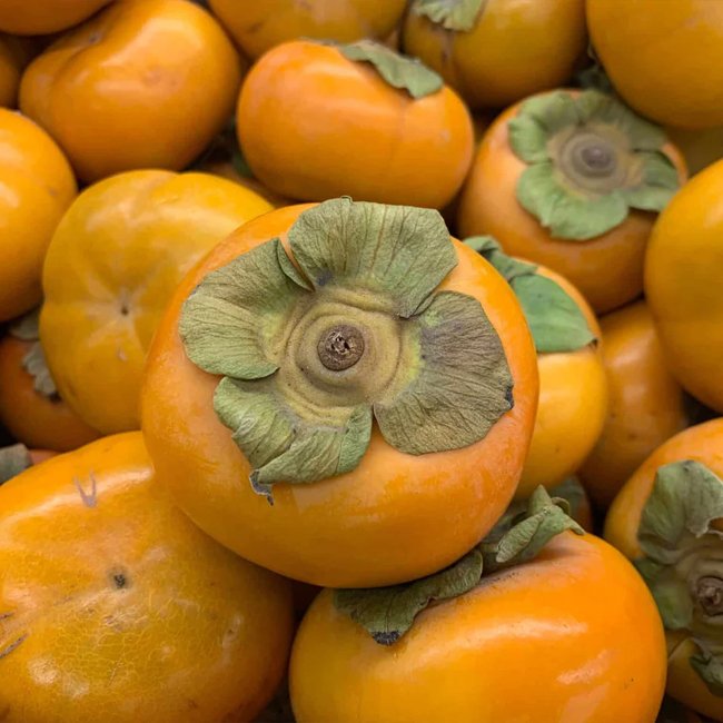 Persimmon Isahaya Non Astringent