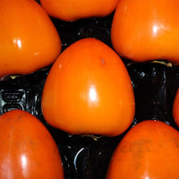 Persimmon Nightingale astringent