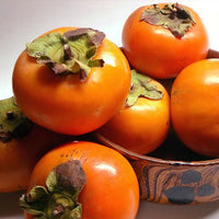 Persimmon Pomelo Non Astringent - Ladybird Nursery
