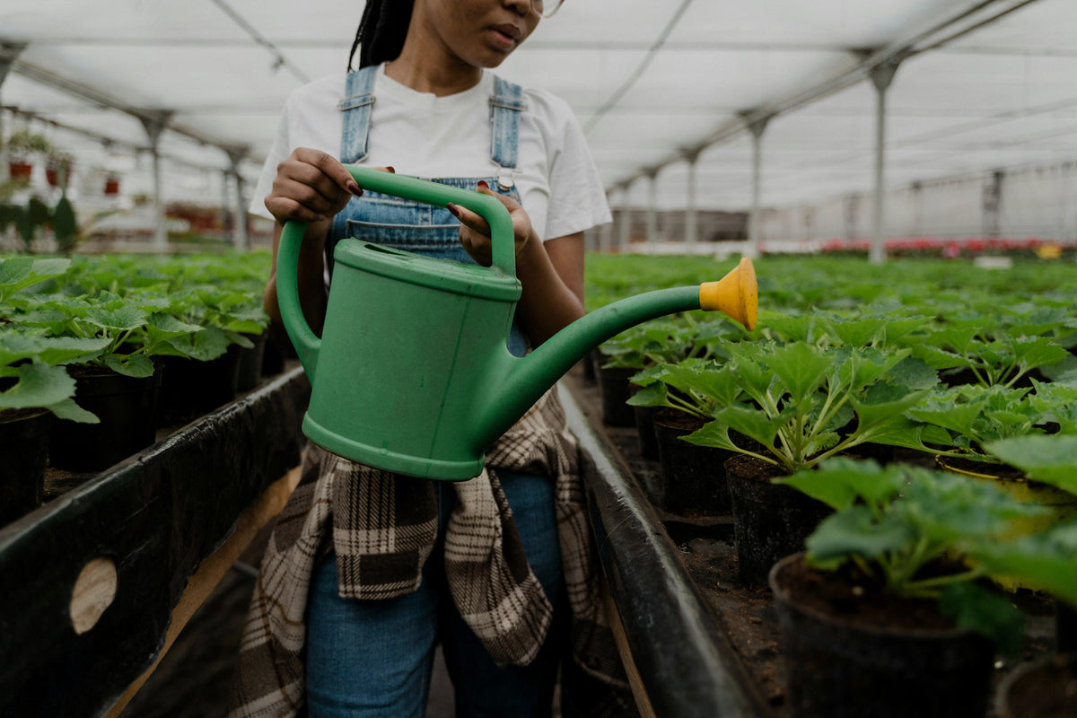 Our Organic Approach