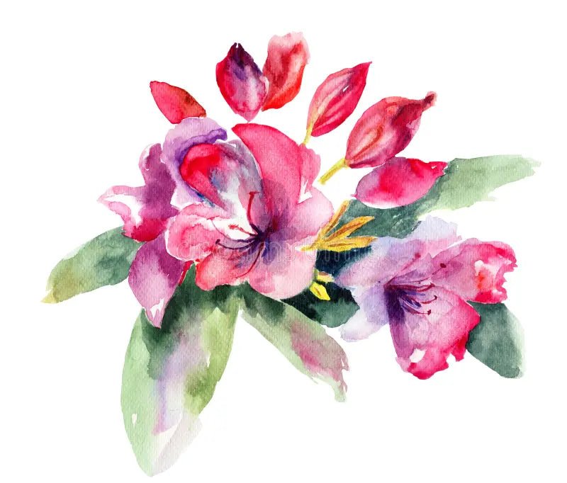 Azalea Misty Pink - Ladybird Nursery