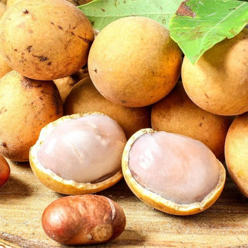 Pitomba - Ladybird Nursery