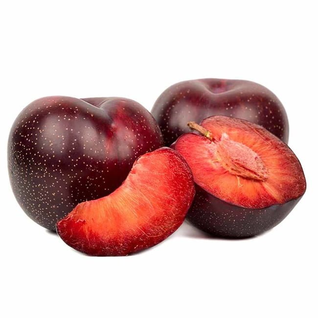 Plum 'Mariposa' - Ladybird Nursery