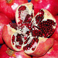 Pomegranate Azerbaijani