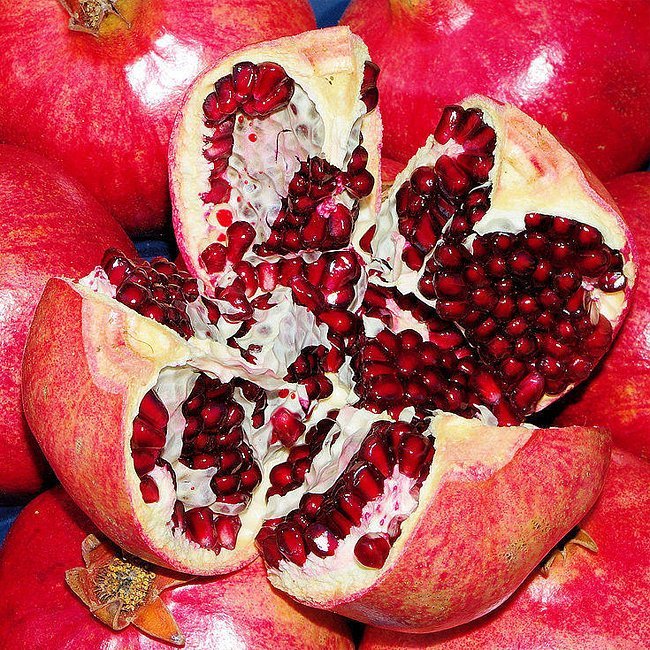 Pomegranate Azerbaijani - Ladybird Nursery