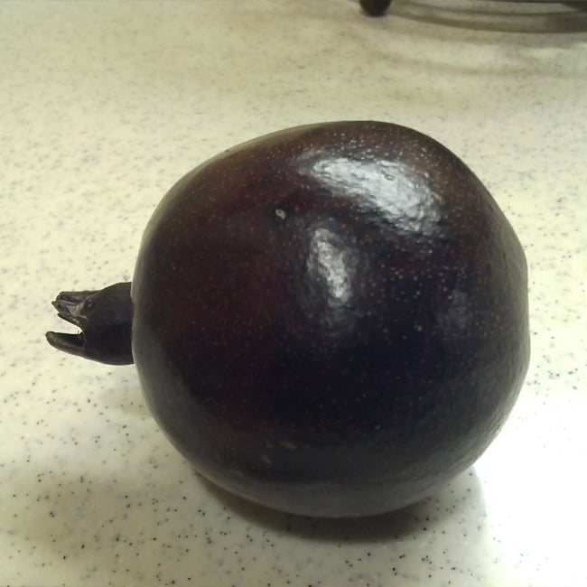 Pomegranate Black - Ladybird Nursery