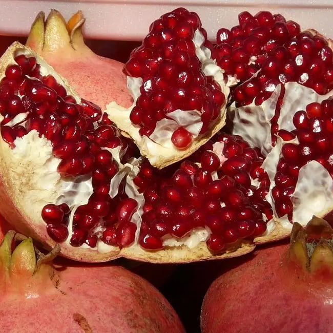 Pomegranate Gayusha Rosavaya