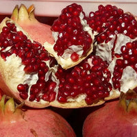 Pomegranate Gayusha Rosavaya