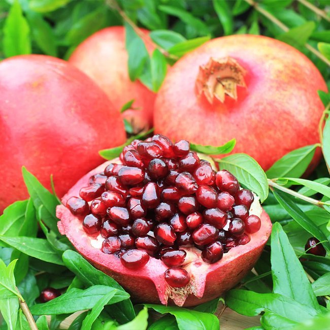 Pomegranate Red Velvet TM - Ladybird Nursery