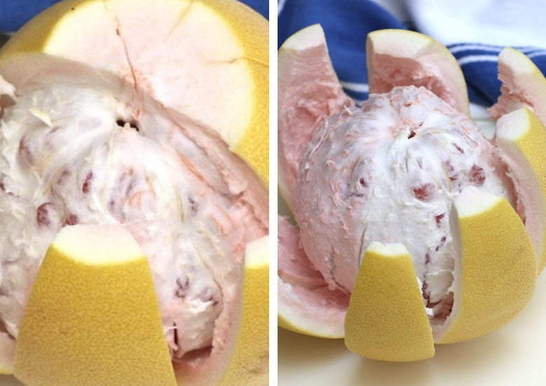 Tang Pomelo Pink (QLD Only)