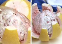 Tang Pomelo Pink (QLD Only)