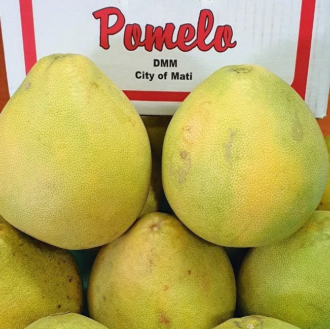 Tang Pomelo Pink (QLD Only) - Ladybird Nursery