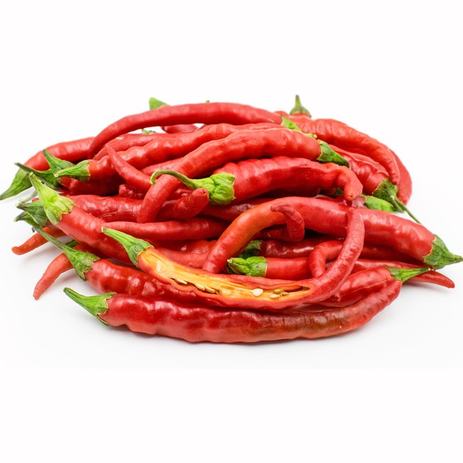 Red Hot Cayenne Chilli - Ladybird Nursery