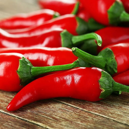 Red Hot Cayenne Chilli - Ladybird Nursery
