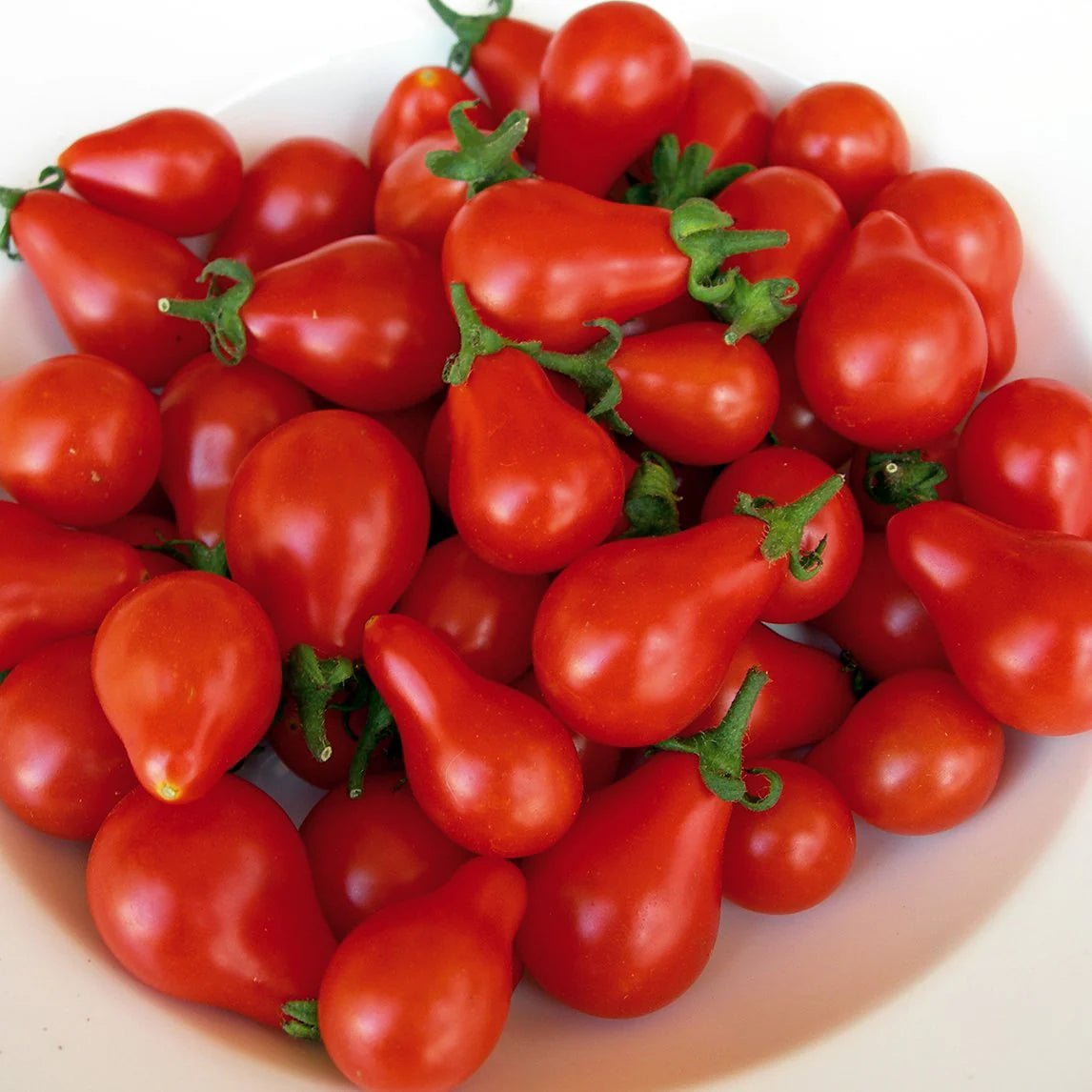 Tomato 'Cherry Mix’ (PICKUP ONLY) - Ladybird Nursery