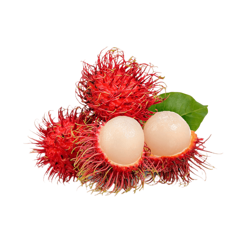 Rambutan - Ladybird Nursery