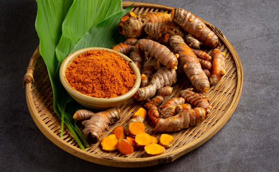 Tumeric (Curcuma longa) - Ladybird Nursery