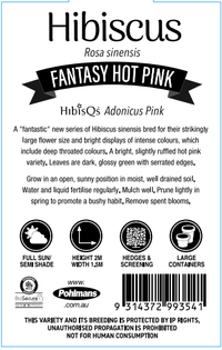 Hibiscus 'Fantasy Hot Pink' (Hibiscus rosa-sinensis) - Ladybird Nursery