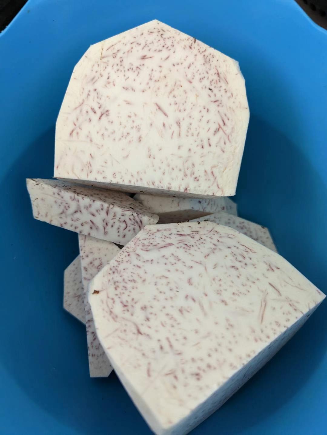 Giant Purple Eating Taro (Colocasia esculenta 'Giant Purple') - Ladybird Nursery