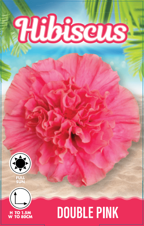 Hibiscus 'Adonicus Double Pink' (Hibiscus rosa-sinensis) - Ladybird Nursery
