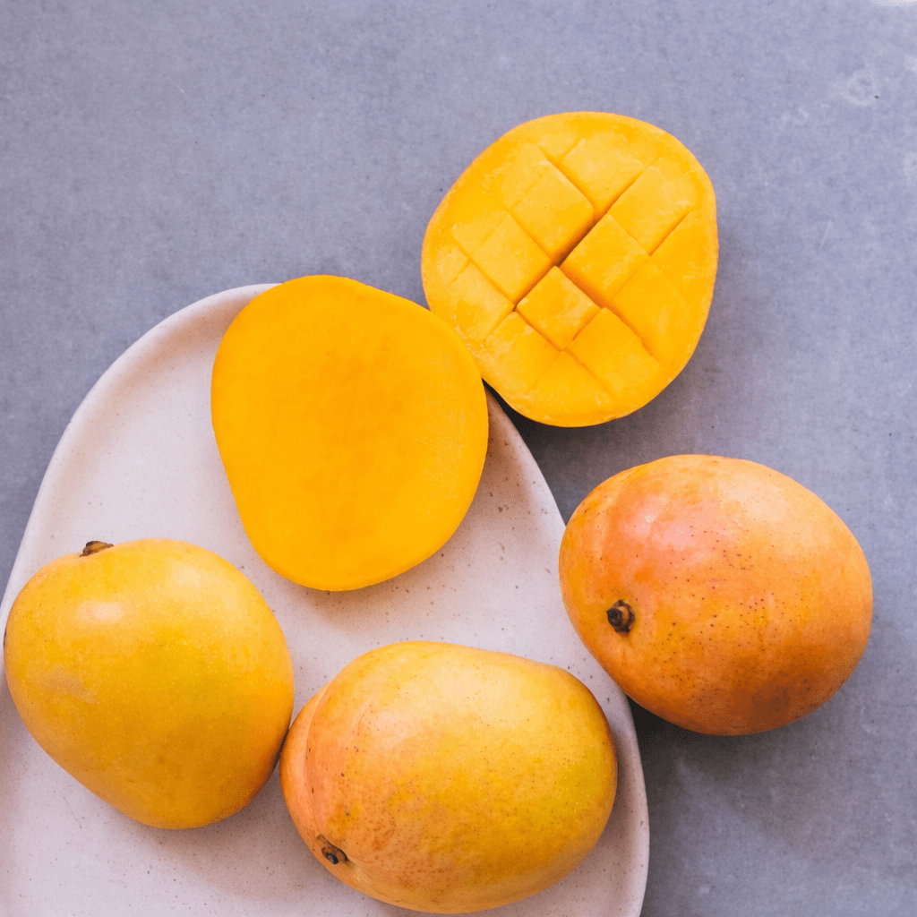 Mango ‘Kensington Pride’ / ‘Bowen’ - Ladybird Nursery