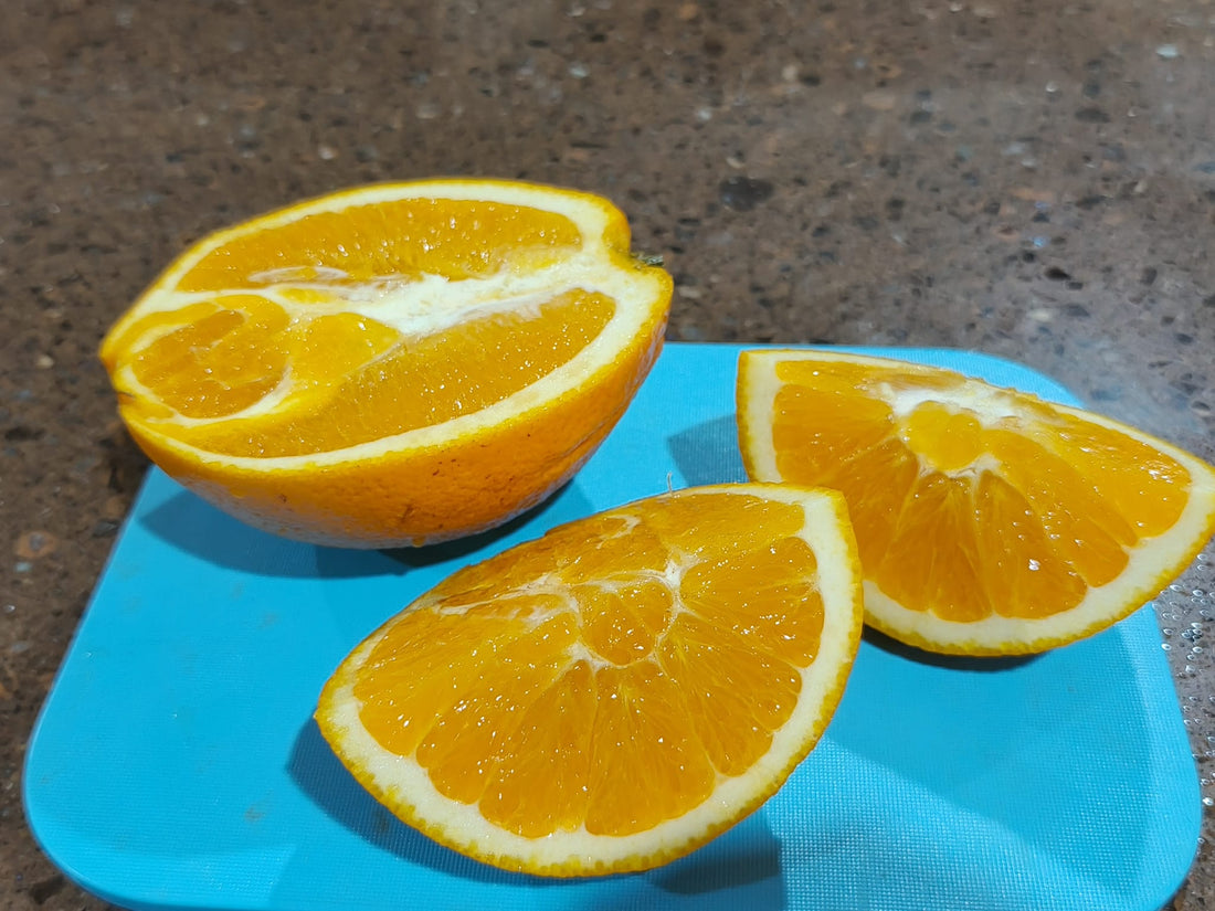 Orange 'The Footy Navel' (QLD Only) - Ladybird Nursery