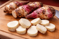 Arrowroot (Canna edulis) - Ladybird Nursery